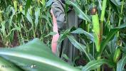 Watch video sex hot couple having sex in a public cornfield loving the thrill to get caught high speed