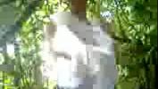 Free download video sex new anak MA jilbab ngentot di hutan HD in IndianSexCam.Net