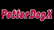 Watch video sex Petter Dog Corinthiano faz sexo period Mp4 - IndianSexCam.Net