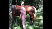 Download video sex new Me whith horse high quality