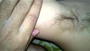 Download video sex 2021 Indian hairy armpit of Pinki Bhabhi showing by husband Jeet online - IndianSexCam.Net