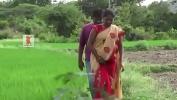 Download video sex Hot sex in rice field