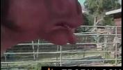 Video porn new Stupid porn with horse man by Erofail com Mp4 online