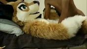 Watch video sex 2024 Furry high quality